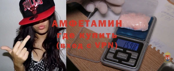 молекула духа Няндома