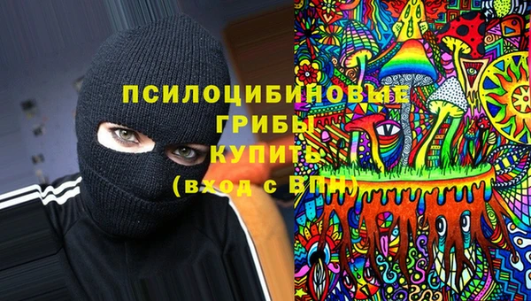 spice Нягань