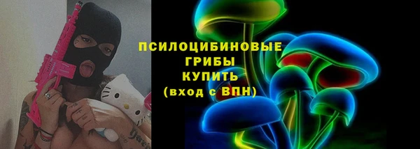 молекула духа Няндома