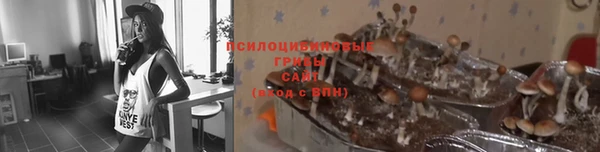 шишки Нязепетровск