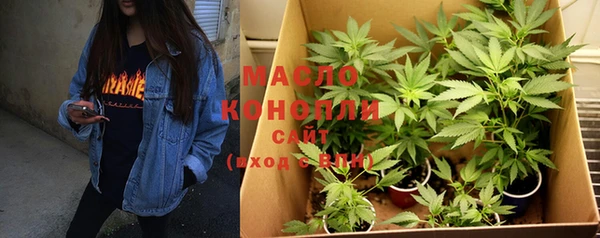шишки Нязепетровск