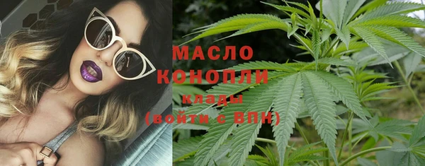 молекула духа Няндома